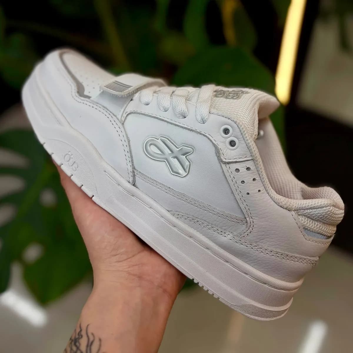Öus branco total